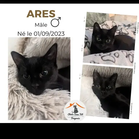 Arès