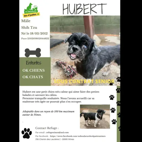 Hubert