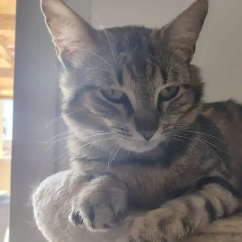 Léo photo 3