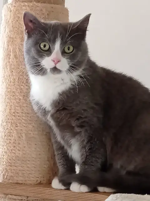 Venus
