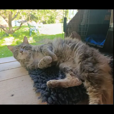 Nelson photo 2