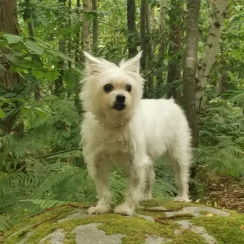 Nikita photo 2