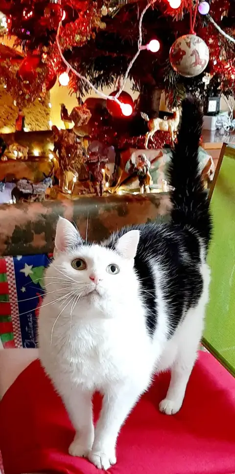 Mimi photo 2