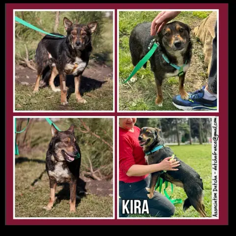 Kira
