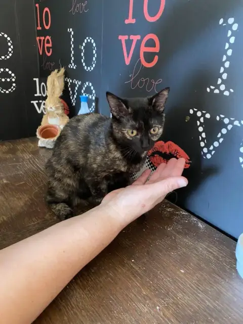 Luna