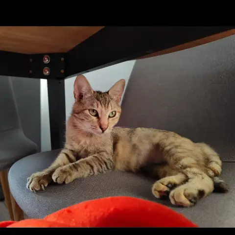 Luna photo 3