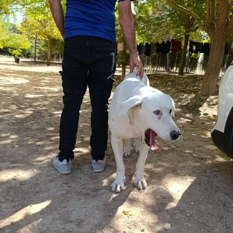 Vida photo 2