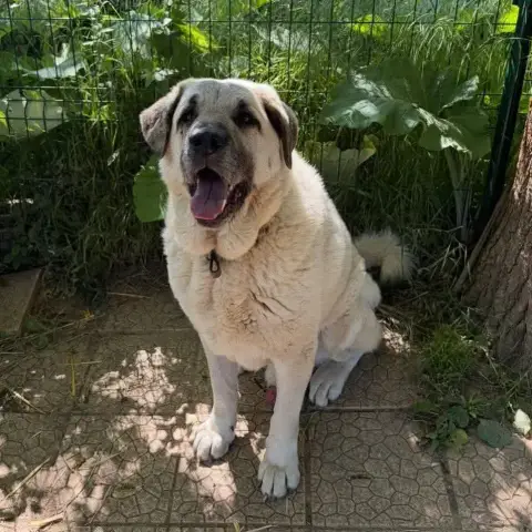 Zeus photo 2