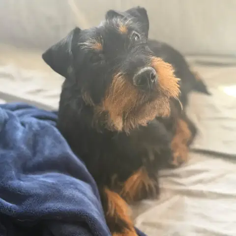 Valeria