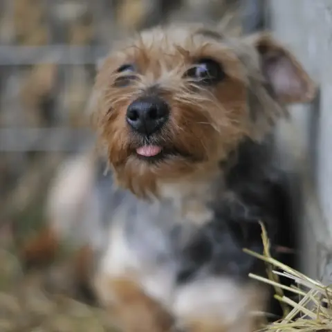 Mandy photo 2