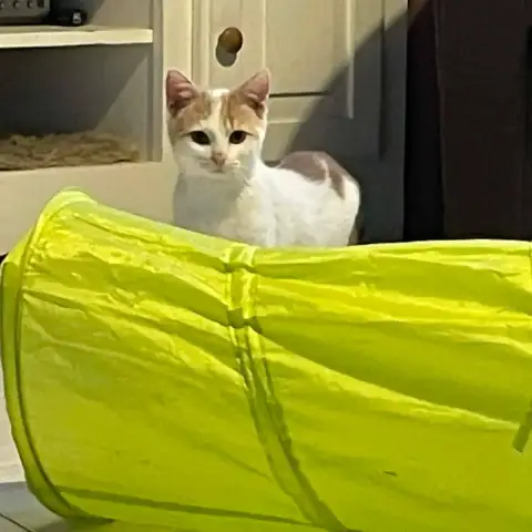 Caramel