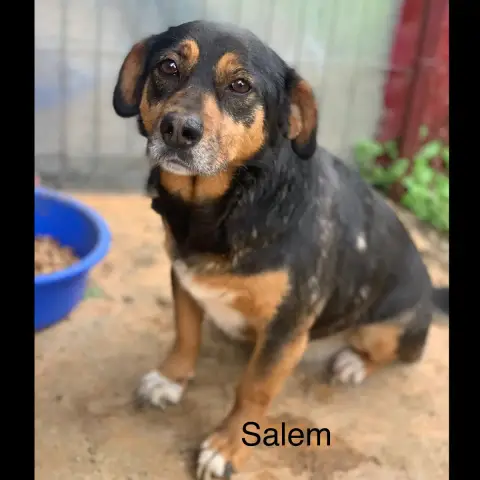 Salem
