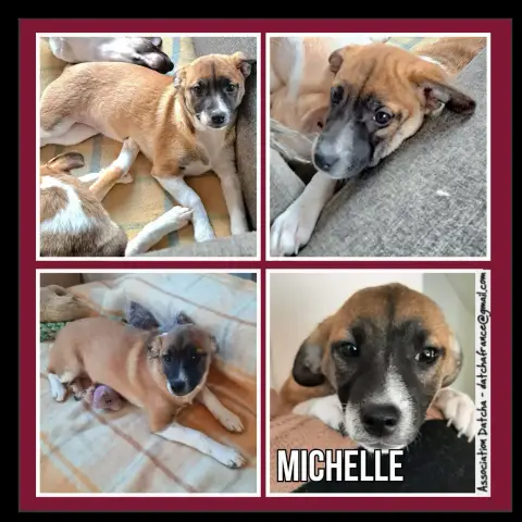 Michelle