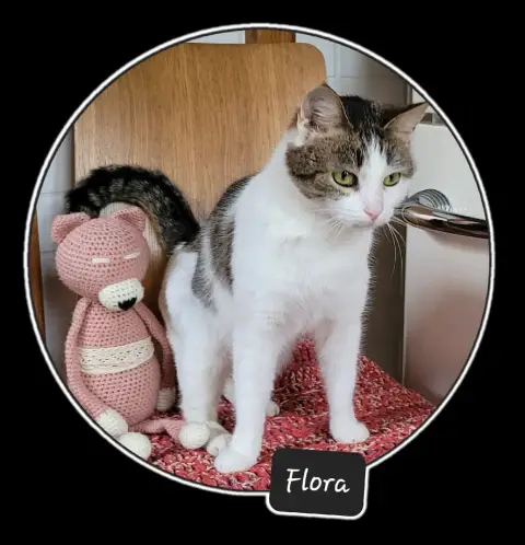 Flora photo 3