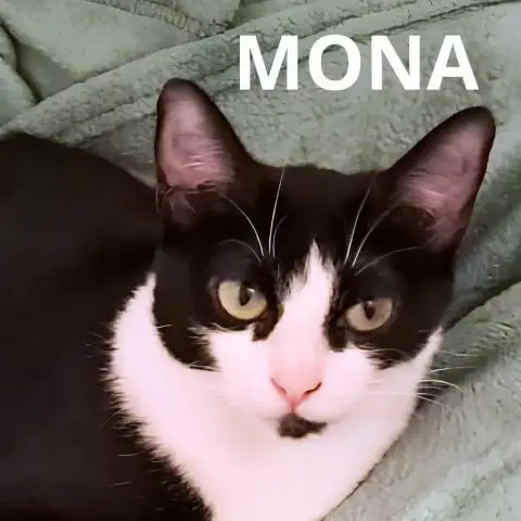 Mona