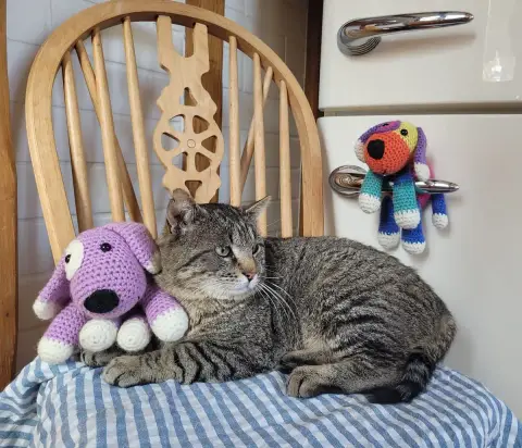 Poupy photo 2