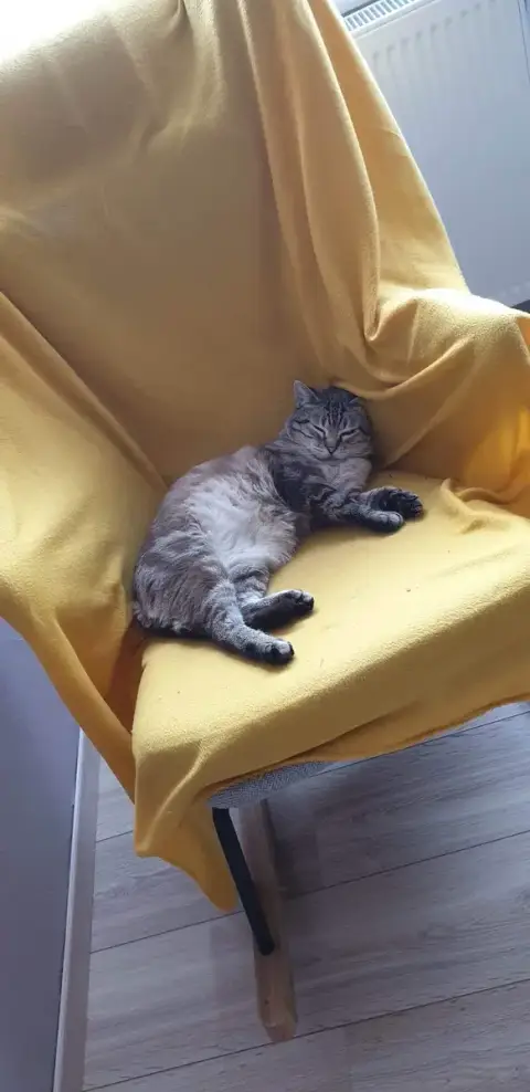 Casper