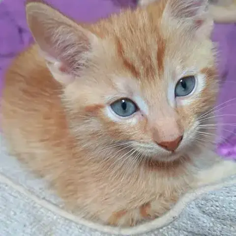 Harry photo 2
