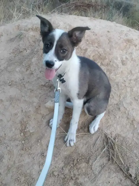 Teodor photo 2