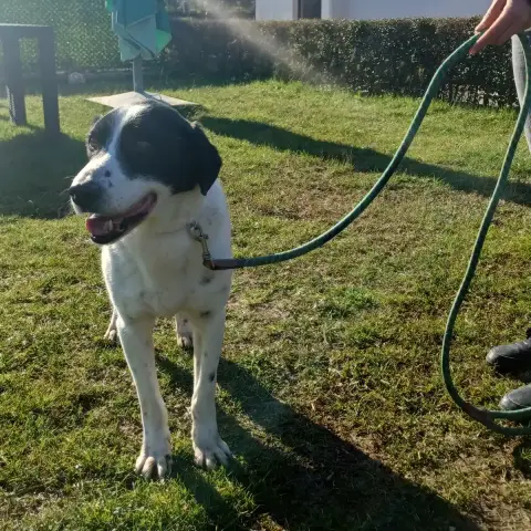 Jacky Urgent Svp!!! photo 2