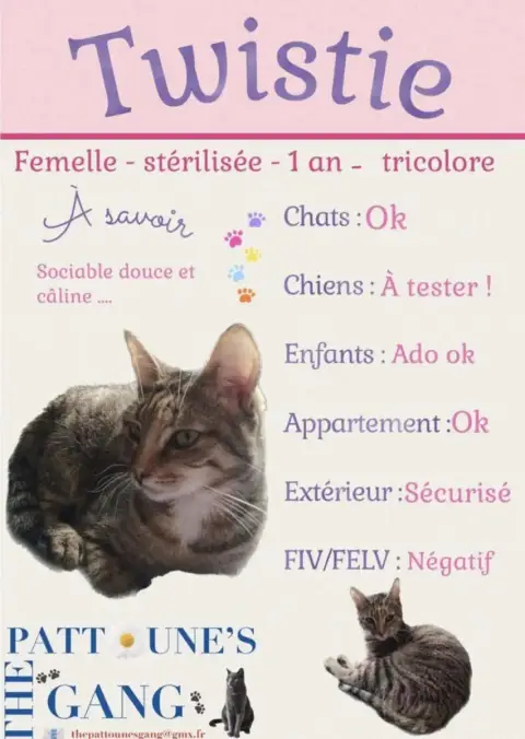 Twistie