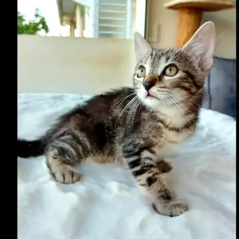 Pablo photo 3