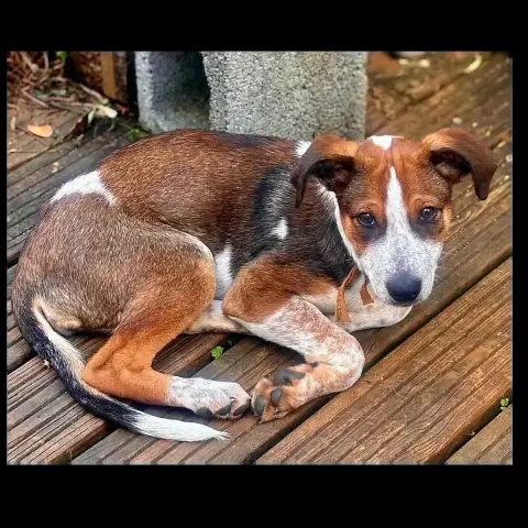 Fred photo 3