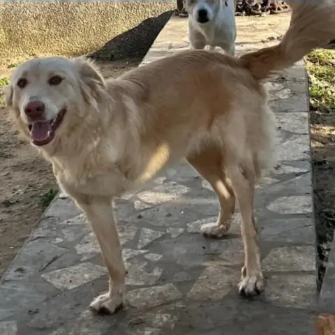 Bella photo 2
