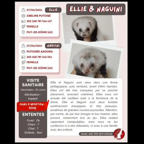 Ellie & Naguini