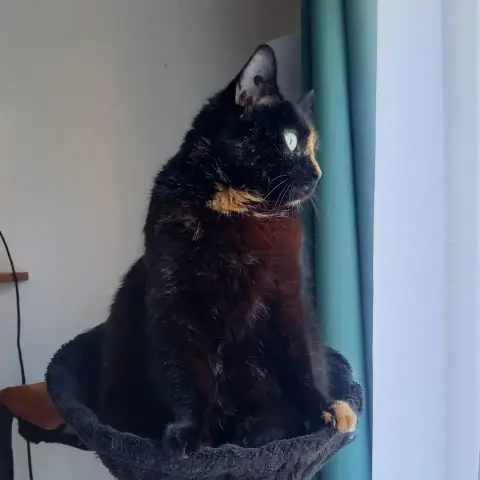 Luna