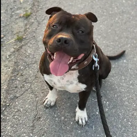 Rosco