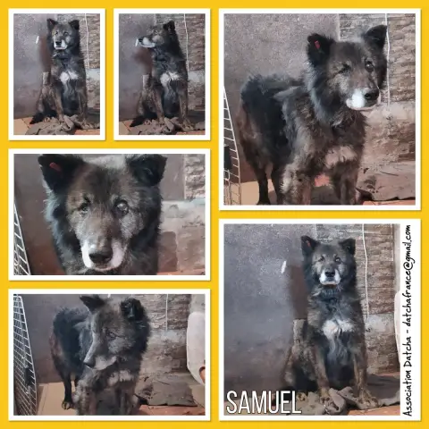 Samuel
