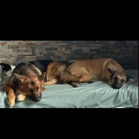 Maly Et Cooper photo 3