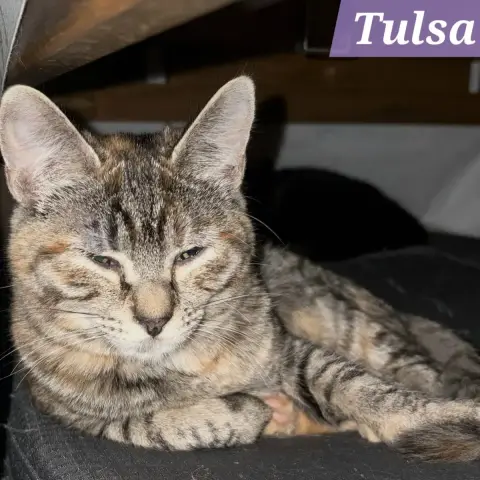 Tulsa