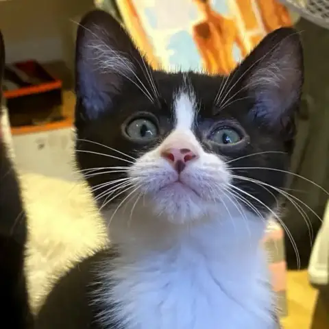 Edmund