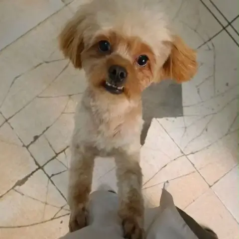 Doudou photo 3
