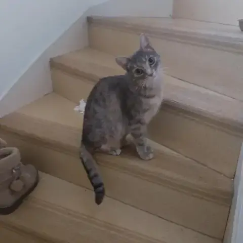 Athena photo 2