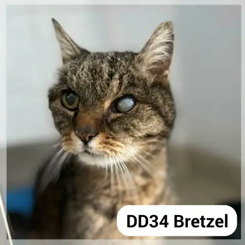 Bretzel
