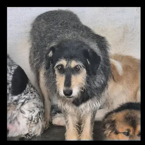 Winnie
