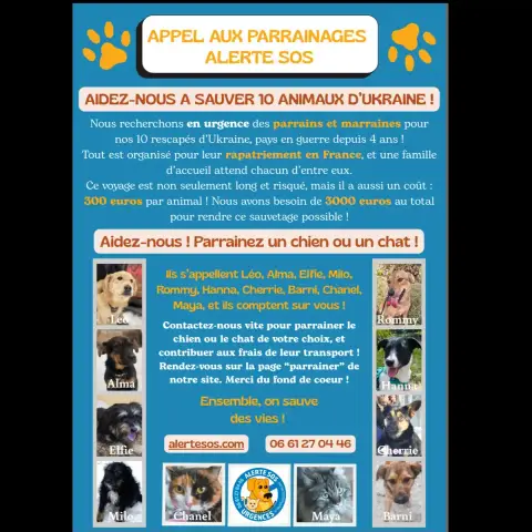 Hanna Urgent!!! photo 3