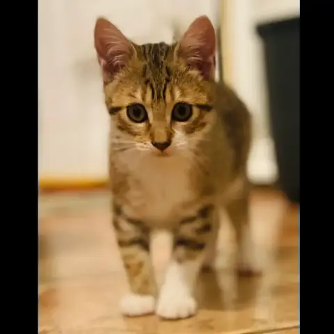 Bouille photo 2
