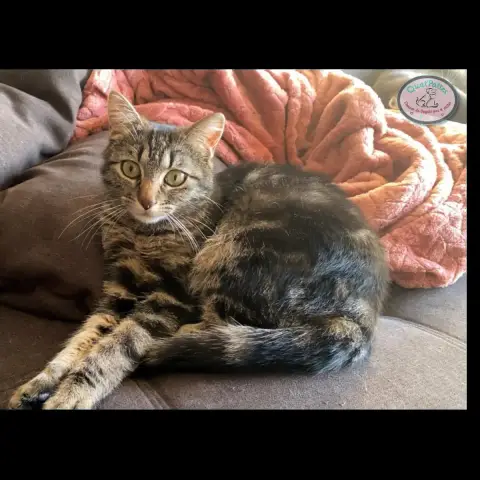 Lilou photo 2