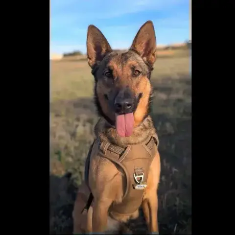 Tina