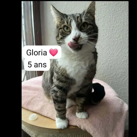 Gloria