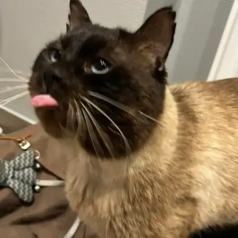 Tom