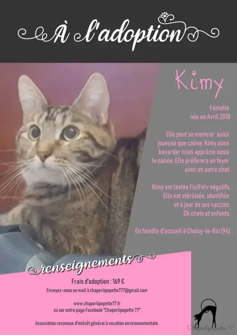 Kimy