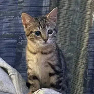 Zoe