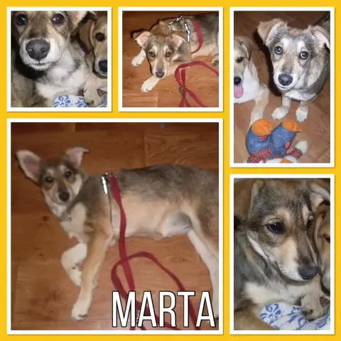 Marta