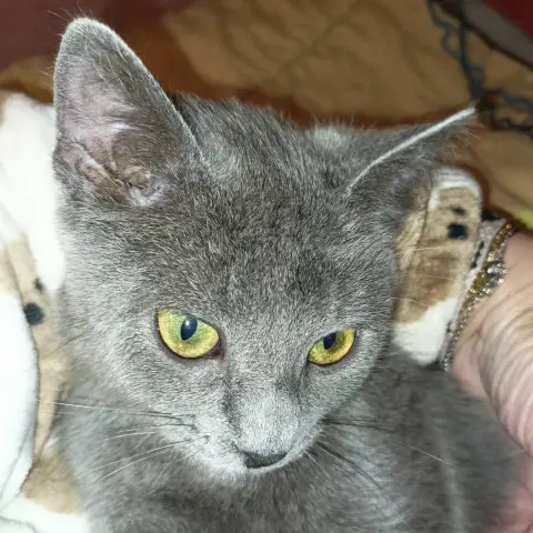 Alézia photo 3