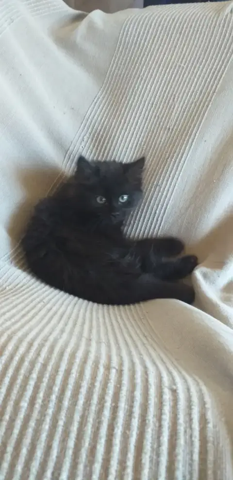 Freya photo 3